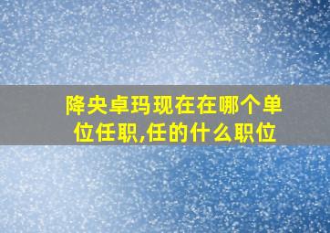 降央卓玛现在在哪个单位任职,任的什么职位