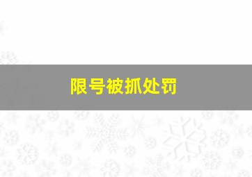 限号被抓处罚