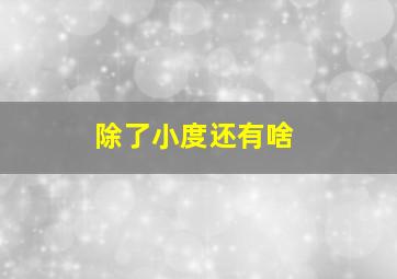 除了小度还有啥