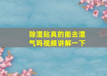 除湿贴真的能去湿气吗视频讲解一下