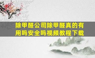 除甲醛公司除甲醛真的有用吗安全吗视频教程下载