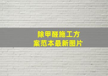 除甲醛施工方案范本最新图片