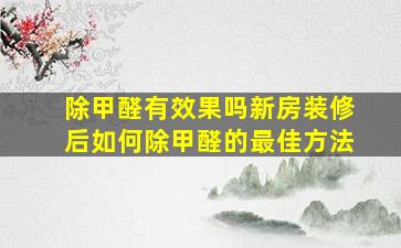 除甲醛有效果吗新房装修后如何除甲醛的最佳方法