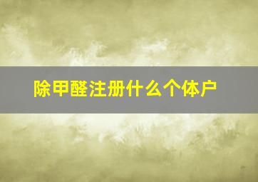 除甲醛注册什么个体户