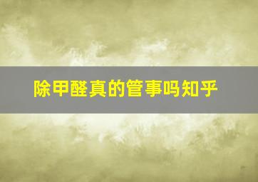 除甲醛真的管事吗知乎