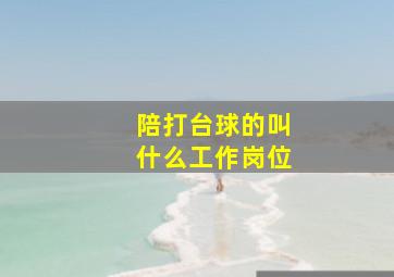 陪打台球的叫什么工作岗位