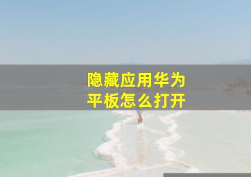 隐藏应用华为平板怎么打开