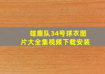 雄鹿队34号球衣图片大全集视频下载安装