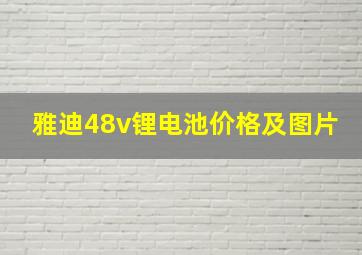 雅迪48v锂电池价格及图片