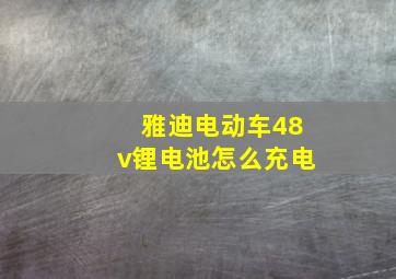 雅迪电动车48v锂电池怎么充电