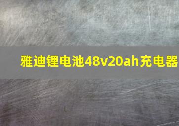 雅迪锂电池48v20ah充电器