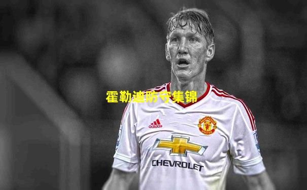 霍勒迪防守集锦