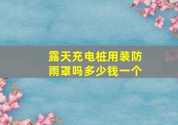 露天充电桩用装防雨罩吗多少钱一个