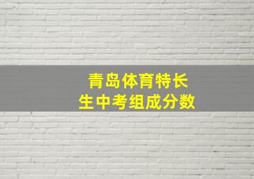 青岛体育特长生中考组成分数