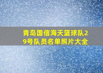 青岛国信海天篮球队29号队员名单照片大全