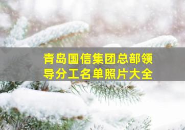 青岛国信集团总部领导分工名单照片大全