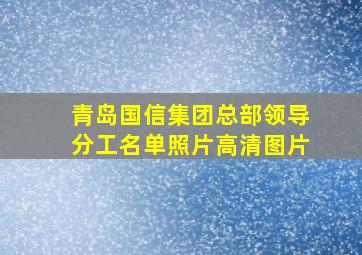 青岛国信集团总部领导分工名单照片高清图片