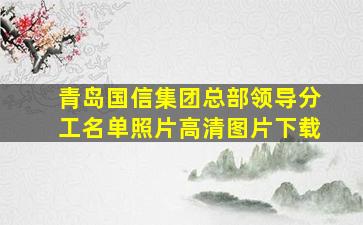 青岛国信集团总部领导分工名单照片高清图片下载