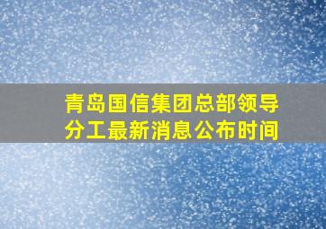 青岛国信集团总部领导分工最新消息公布时间