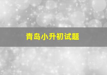 青岛小升初试题