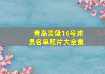 青岛男篮16号球员名单照片大全集