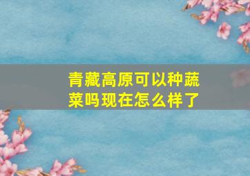 青藏高原可以种蔬菜吗现在怎么样了