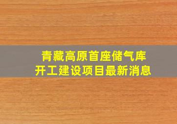 青藏高原首座储气库开工建设项目最新消息