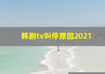 韩剧tv叫停原因2021