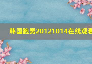 韩国跑男20121014在线观看