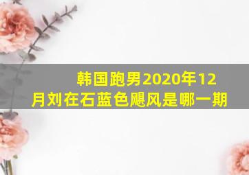 韩国跑男2020年12月刘在石蓝色飓风是哪一期