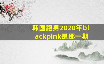 韩国跑男2020年blackpink是那一期