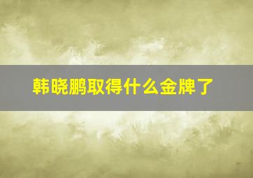 韩晓鹏取得什么金牌了