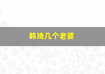 韩琦几个老婆