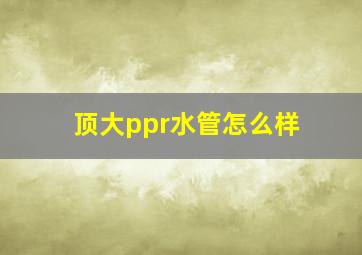 顶大ppr水管怎么样