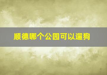 顺德哪个公园可以遛狗