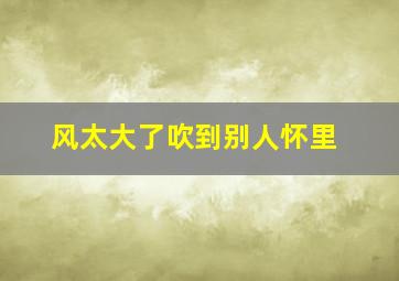 风太大了吹到别人怀里