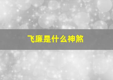 飞廉是什么神煞