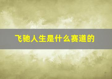 飞驰人生是什么赛道的