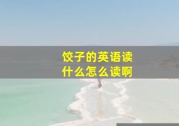 饺子的英语读什么怎么读啊