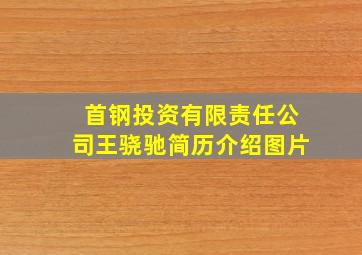 首钢投资有限责任公司王骁驰简历介绍图片