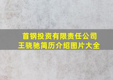 首钢投资有限责任公司王骁驰简历介绍图片大全