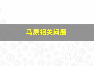 马原相关问题