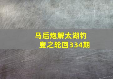 马后炮解太湖钓叟之轮回334期