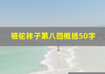 骆驼祥子第八回概括50字