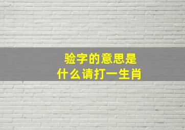 验字的意思是什么请打一生肖