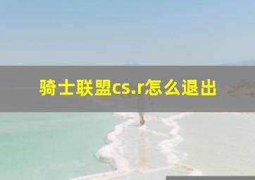 骑士联盟cs.r怎么退出