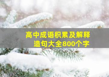 高中成语积累及解释造句大全800个字