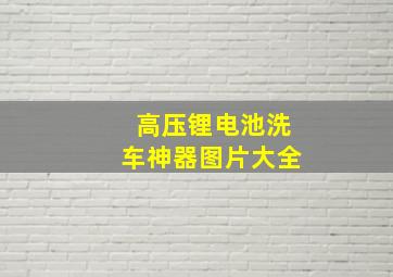 高压锂电池洗车神器图片大全