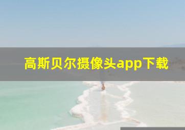 高斯贝尔摄像头app下载