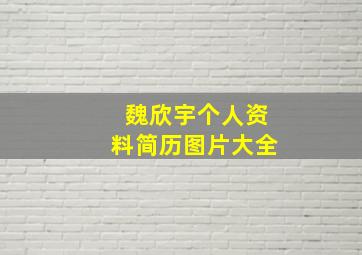 魏欣宇个人资料简历图片大全